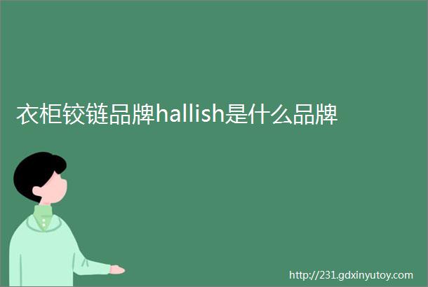 衣柜铰链品牌hallish是什么品牌