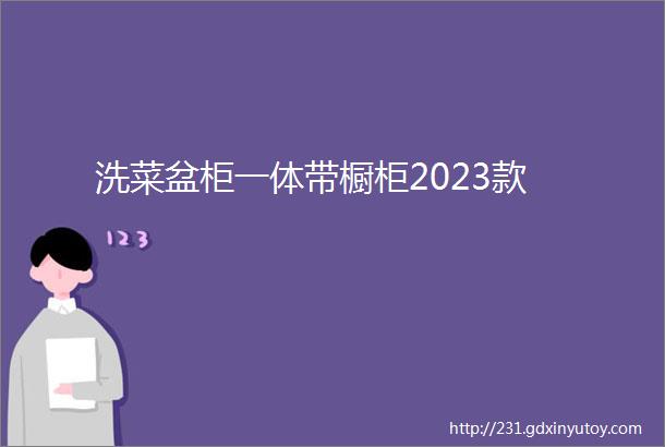 洗菜盆柜一体带橱柜2023款